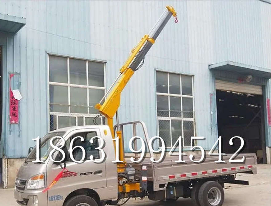 翁源县车载吊机电动葫芦价格固定车载吊翁源县当地车载吊机起重升降机悬臂吊